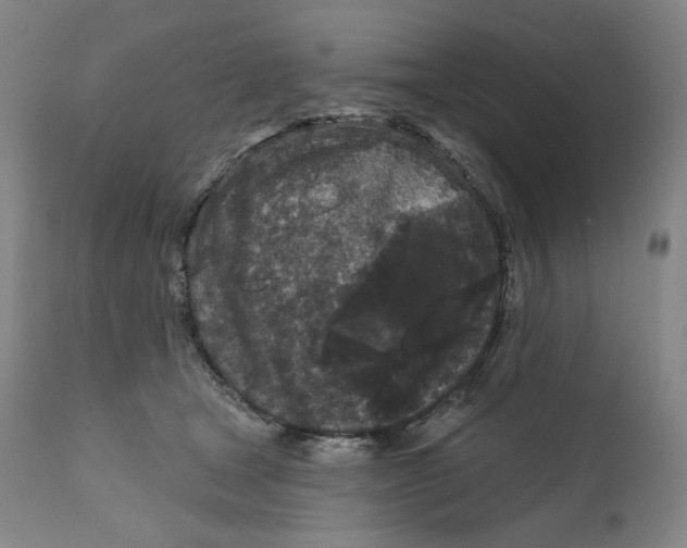 X0000111640465200908071346