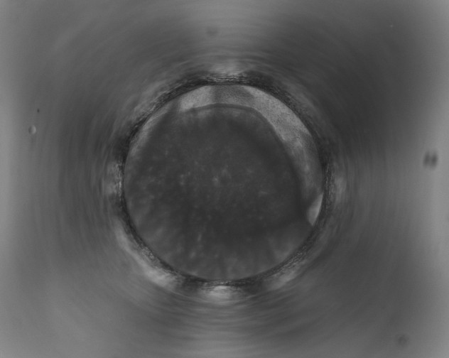 X0000111640467200908071346