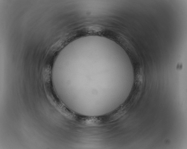 X0000111640468200908071346