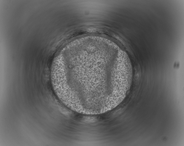 X0000111640469200908071346