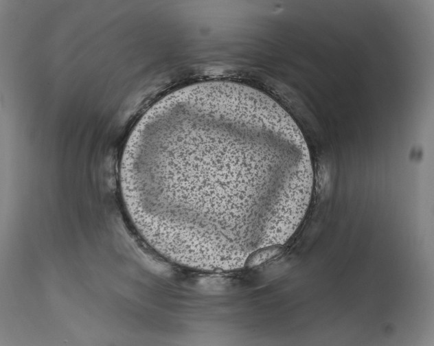 X0000111640470200908071347