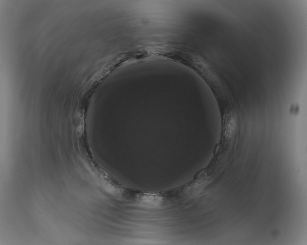 X0000111640471200908071347