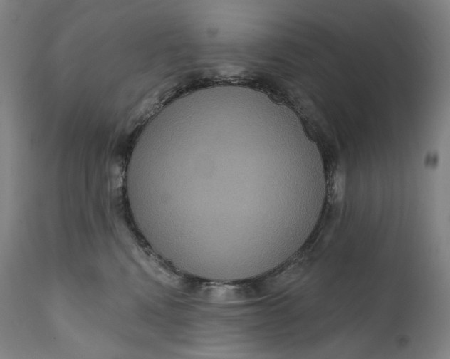 X0000111640472200908071347