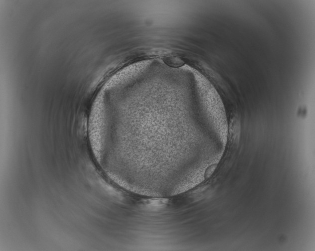 X0000111640474200908071347