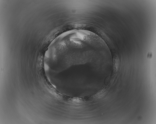 X0000111640475200908071347