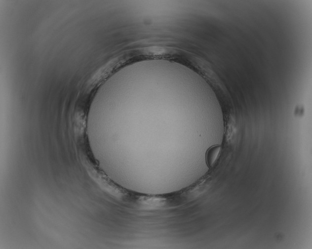 X0000111640476200908071347