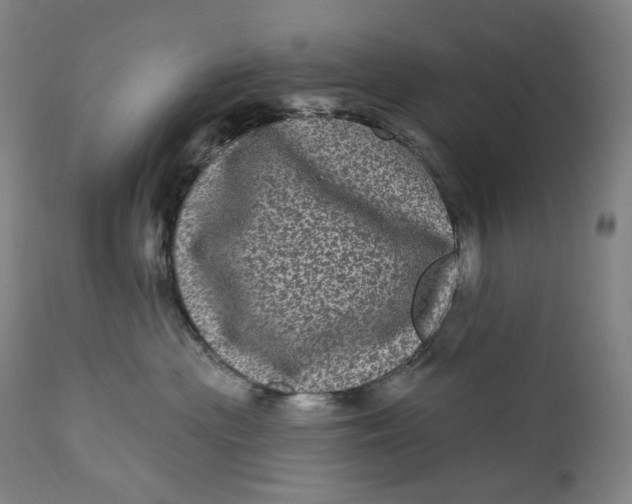 X0000111640477200908071347