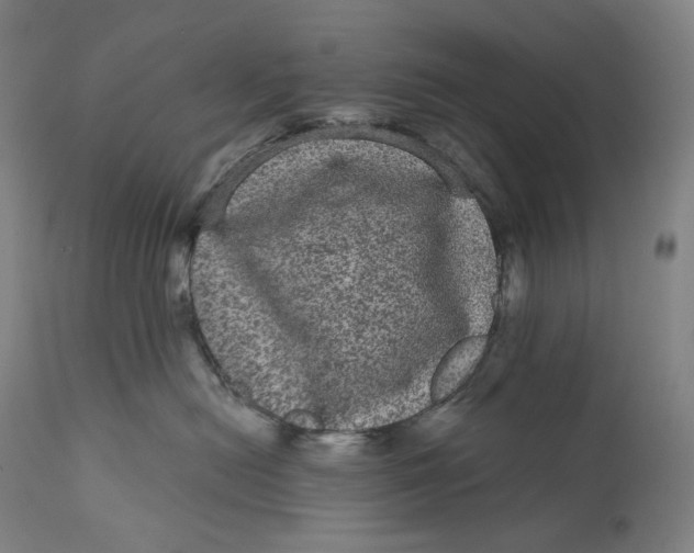 X0000111640478200908071347