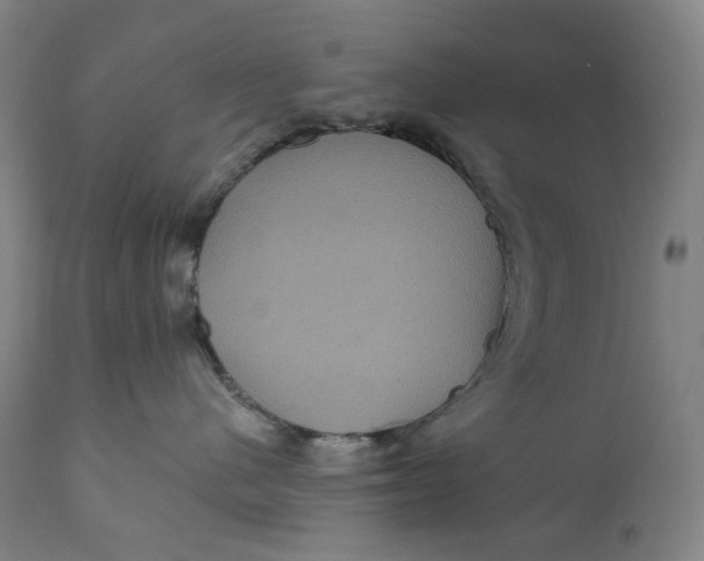 X0000111640480200908071347