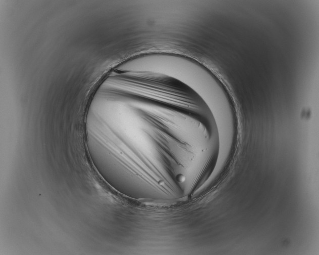 X0000111640481200908071346