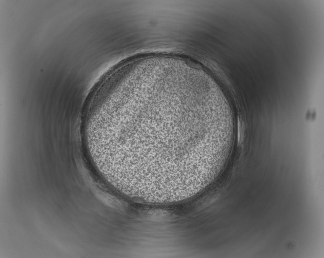 X0000111640483200908071346