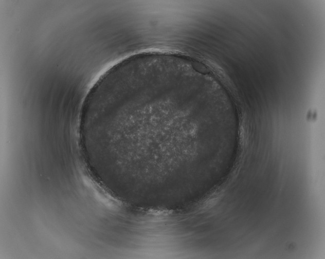 X0000111640484200908071346