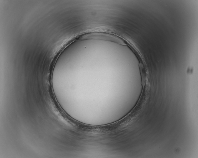 X0000111640485200908071346