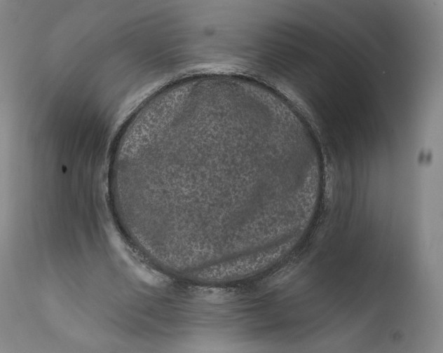 X0000111640486200908071346