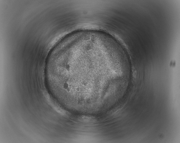 X0000111640487200908071346