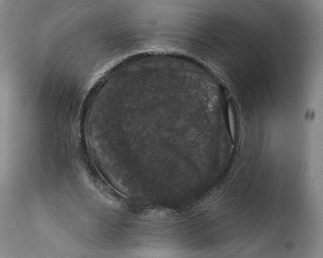 X0000111640488200908071346