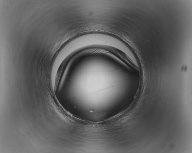 X0000111640489200908071346