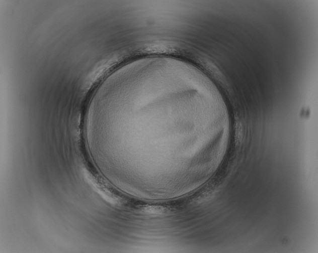 X0000111640490200908071346