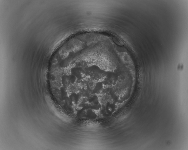 X0000111640491200908071346