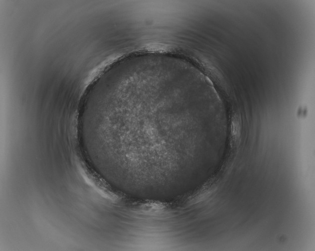 X0000111640492200908071346