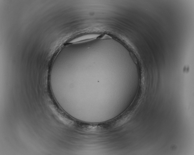 X0000111640493200908071346