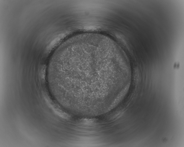 X0000111640495200908071346