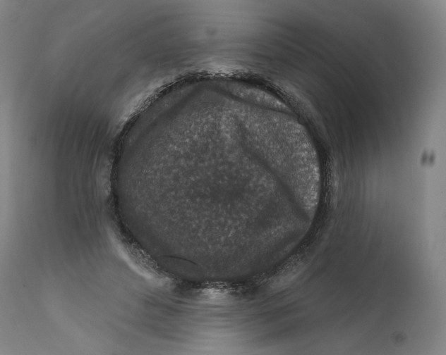 X0000111640496200908071346