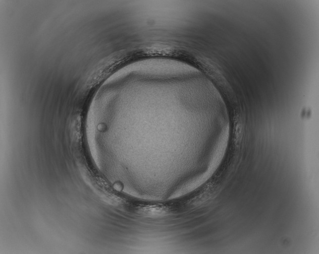 X0000111640498200908071346