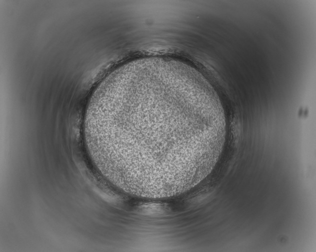 X0000111640499200908071346