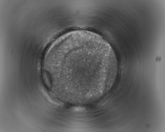 X0000111640500200908071346