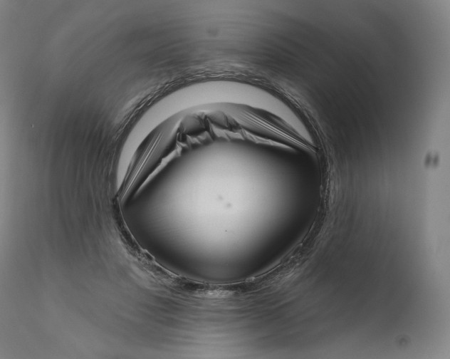 X0000111640501200908071346