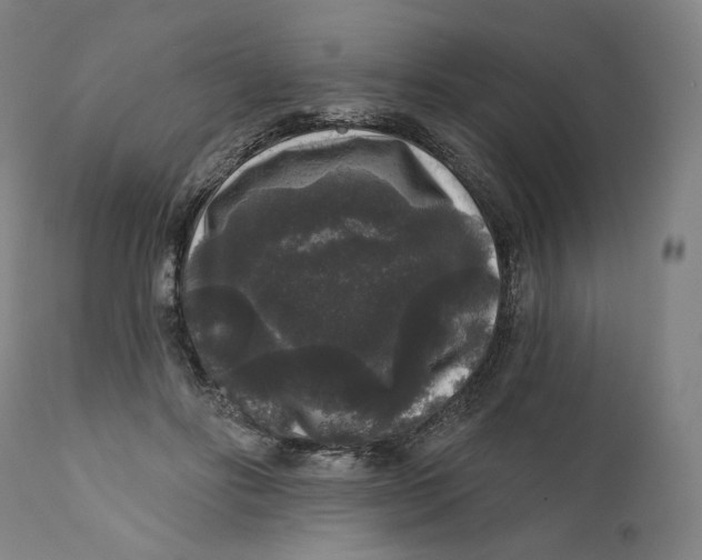 X0000111640502200908071346