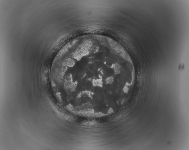 X0000111640503200908071346