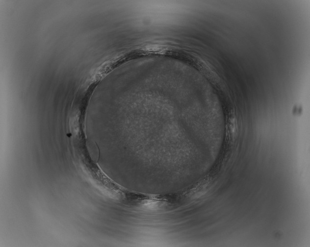 X0000111640504200908071346