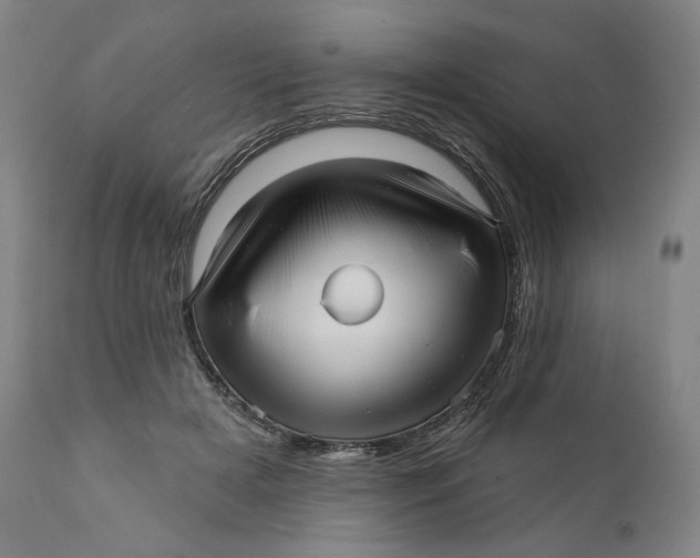 X0000111640505200908071346