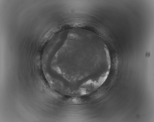 X0000111640506200908071346