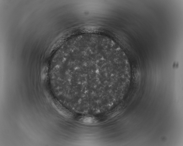 X0000111640507200908071346