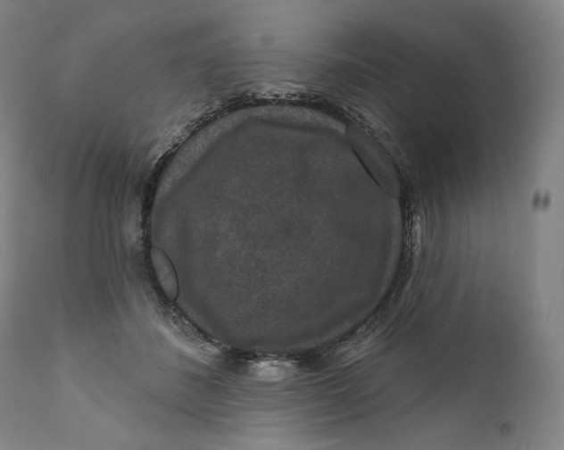 X0000111640508200908071345