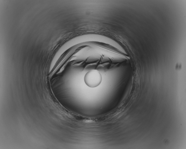 X0000111640509200908071345