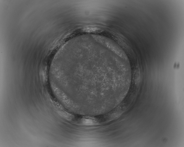 X0000111640510200908071345