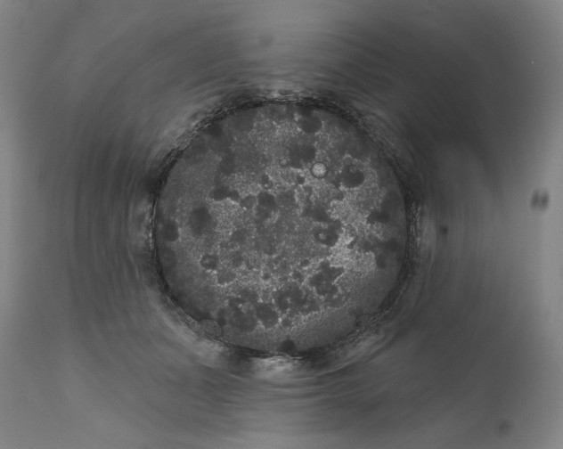 X0000111640511200908071345