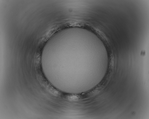 X0000111640513200908071345