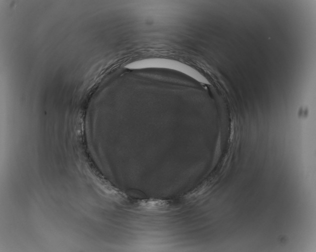 X0000111640517200908071345