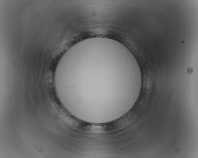 X0000111640518200908071345