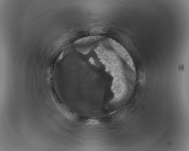 X0000111640519200908071345