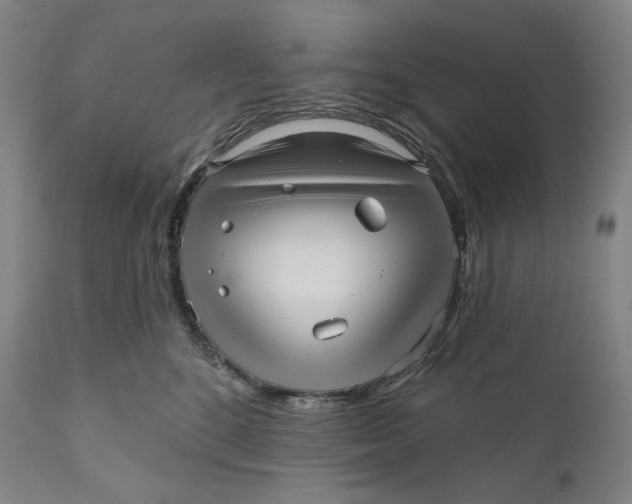 X0000111640520200908071345