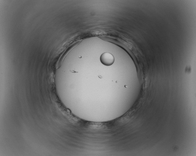 X0000111640521200908071345