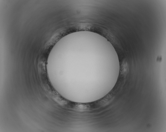 X0000111640522200908071345