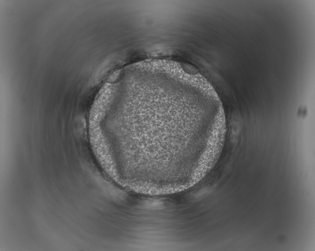 X0000111640523200908071345