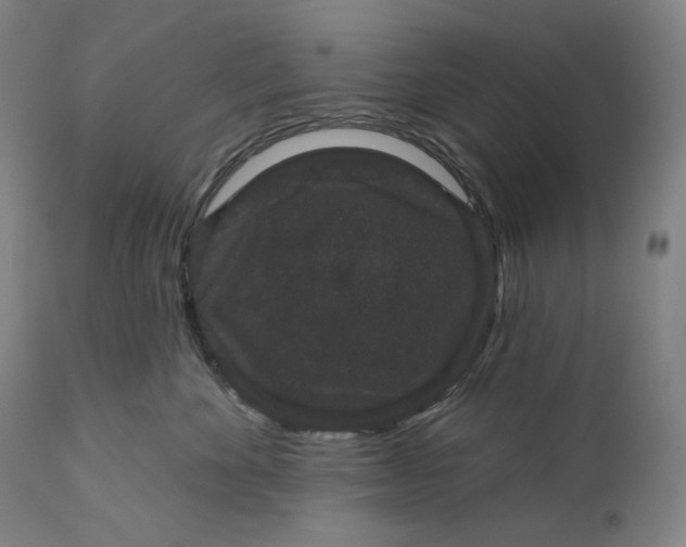 X0000111640524200908071345